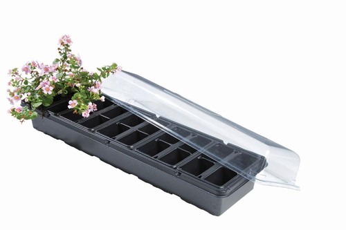 Windowsill greenhouse plants - greenhouse,
