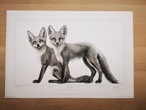 Gary hodges signed limited - gary,