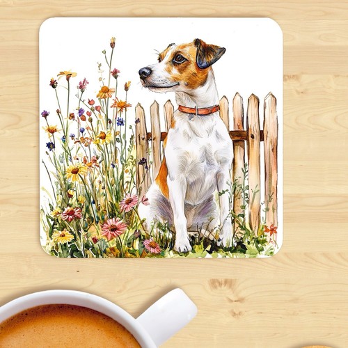 Jack russell terrier - jack,