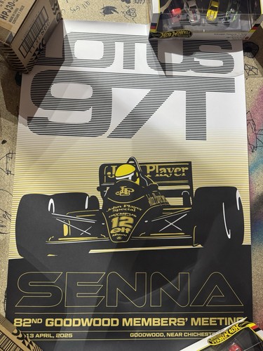 Goodwood members meeting senna - goodwood,