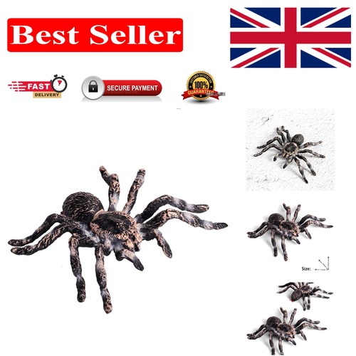 Educational spider action - educational,