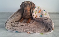Handmade snuggle dachshund - handmade,