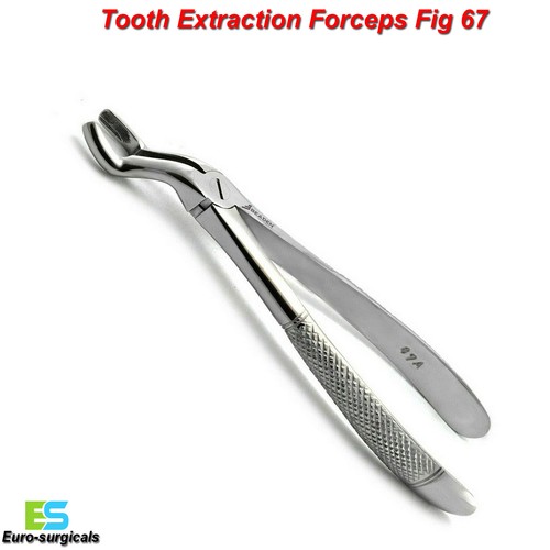 Surgical forcep fig lower - forcep,