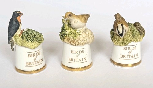 Damaged sutherland birds of - birds,