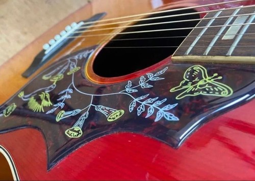 Gibson hummingbird pickguard - gibson,