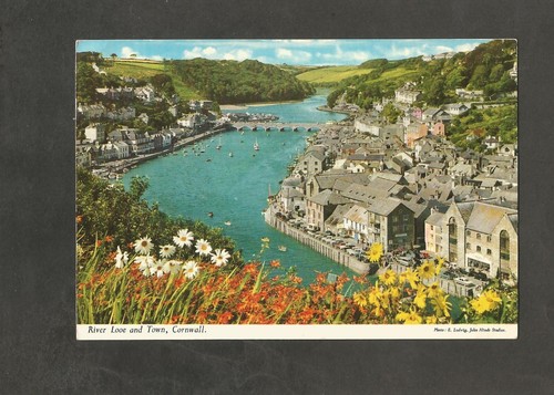 Postcard cornwall looe the - cornwall,