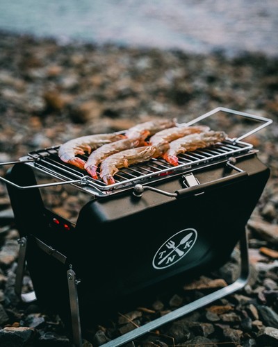 Portable bbq grill - bbq,