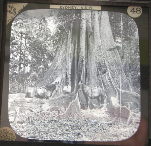 Magic lantern glass - magic, slide