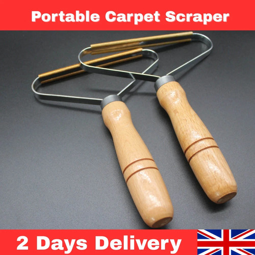 Portable lint remover - remover, carpet