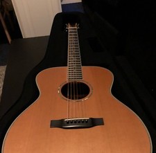 Freshman fa500 gaced guitar - fa500,