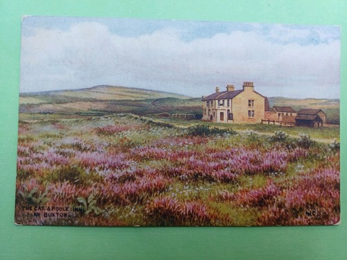 Post card salmon - post, salmon,