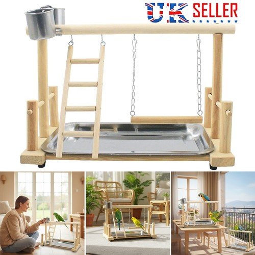 Parrot playstand bird - parrot,