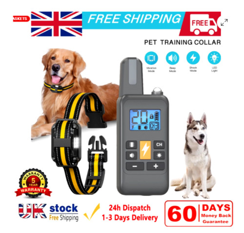 800m electric pet - electric, training