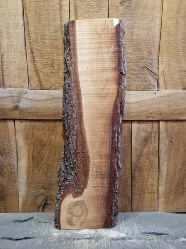 Cedar slab wood live edge - slab,