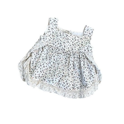 Little silver swan baby - swan,