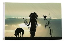 NATIVE AMERICAN INDIAN 5x3