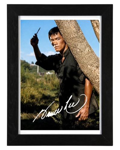Bruce lee signed - bruce,