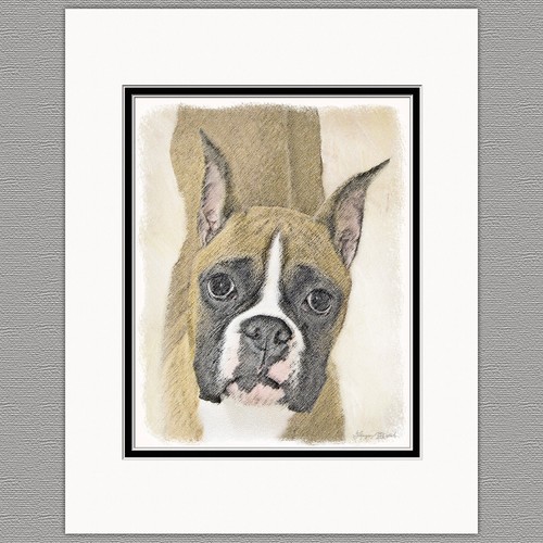 Boxer dog original art print - art,