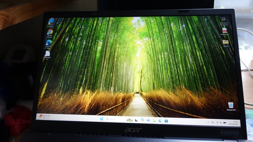 Acer extensa 215 - acer,