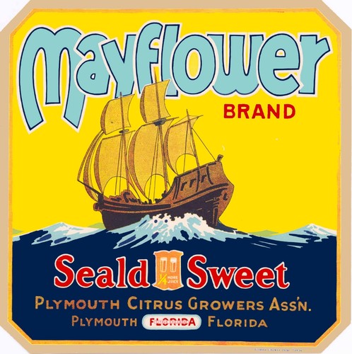 Plymouth florida mayflower - plymouth,