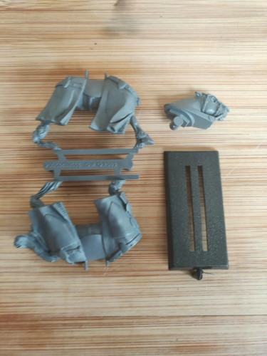 Empire bretonnian horse - empire, b