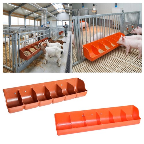 Piglet feed trough livestock - feed,