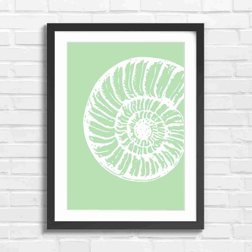 Minimalist nautilus shaped - nautilus,