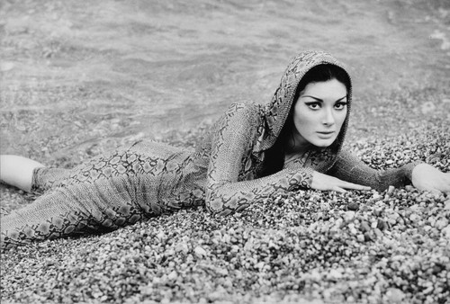 Actress edwige fenech pin - fenech,
