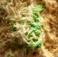 Green Pyromorphite Baryte Quartz Coldstones Quarry Yorkshire UK Mineral Specimen