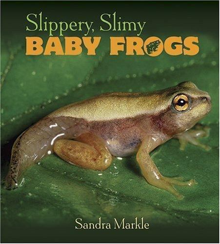 Slippery slimy baby frogs by - slippery,,