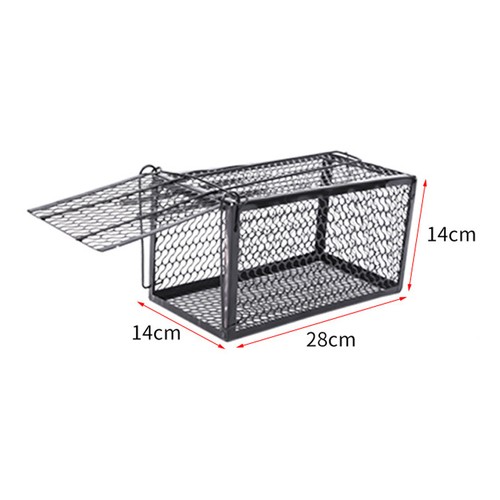 Rat mouse trap - trap, catcher