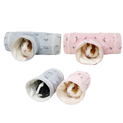 Chinchilla guinea pigs tunnel - chinchilla,