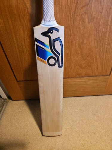 Reconditioned kookaburra - reconditioned,
