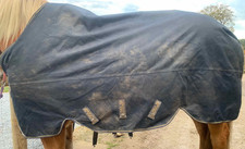Horseware Draft size horse Turnout (250g Medium) 7',  Amigo Bravo 12 XL