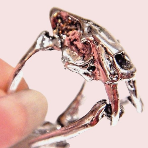 Saber toothed tiger - toothed,