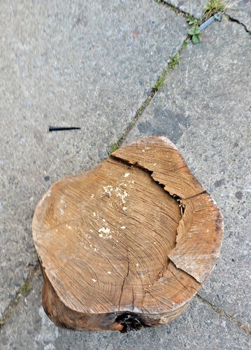 Cherry wood - cherry,