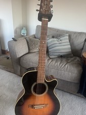 Takamine Guitar & matching