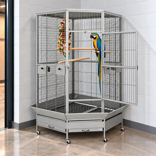 Raleigh corner bird cage - raleigh,