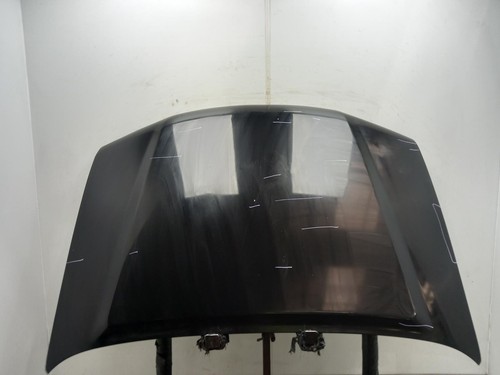 Nissan navara bonnet 2010 - navara,