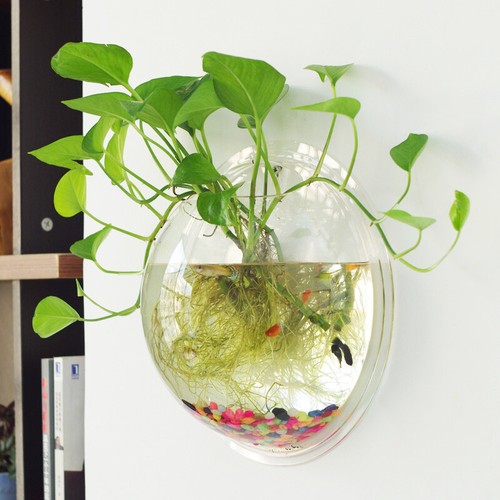 Home wall mounted hanging - wall, fish