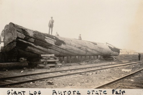 Giant log aurora state fair - state,