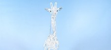 Boxed Swarovski Giraffe Baby