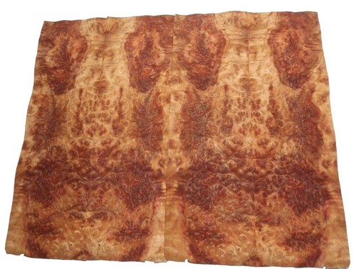 Camphor root wood veneer - wood,