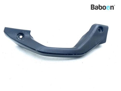 Grab bar left pillion - (pillion,