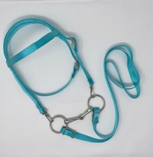 MINIATURE HORSE / SM PONY