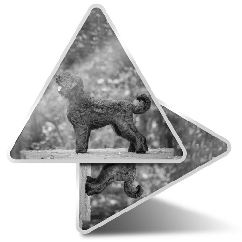 Triangle stickers 10cm - 2,