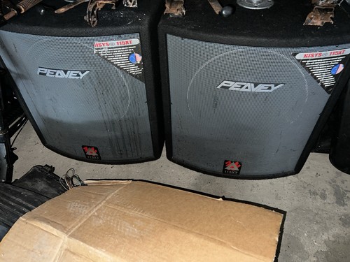 Peavey 115xt bass bin - 115xt,