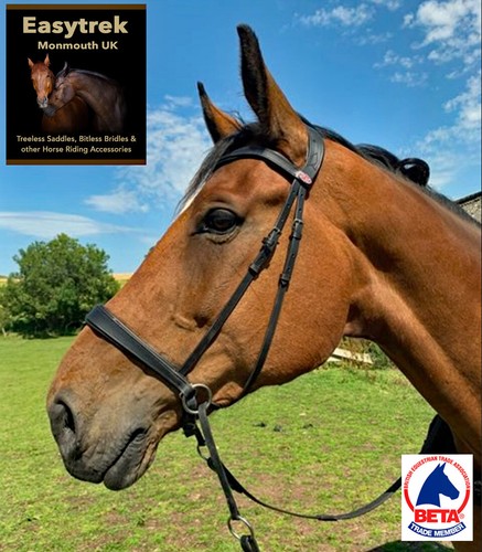 Bitless anatomical bridle - anatomical,