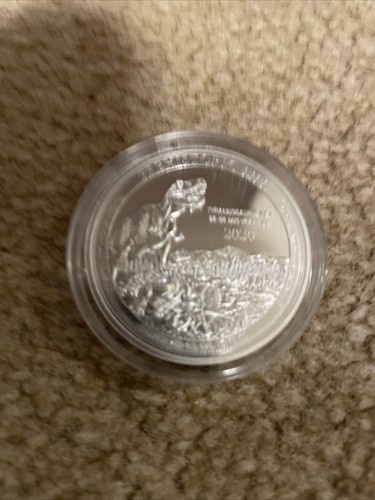 Silver tyrannosaurus rex - 1,
