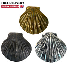 Metal Sea Shell Decor 13cm